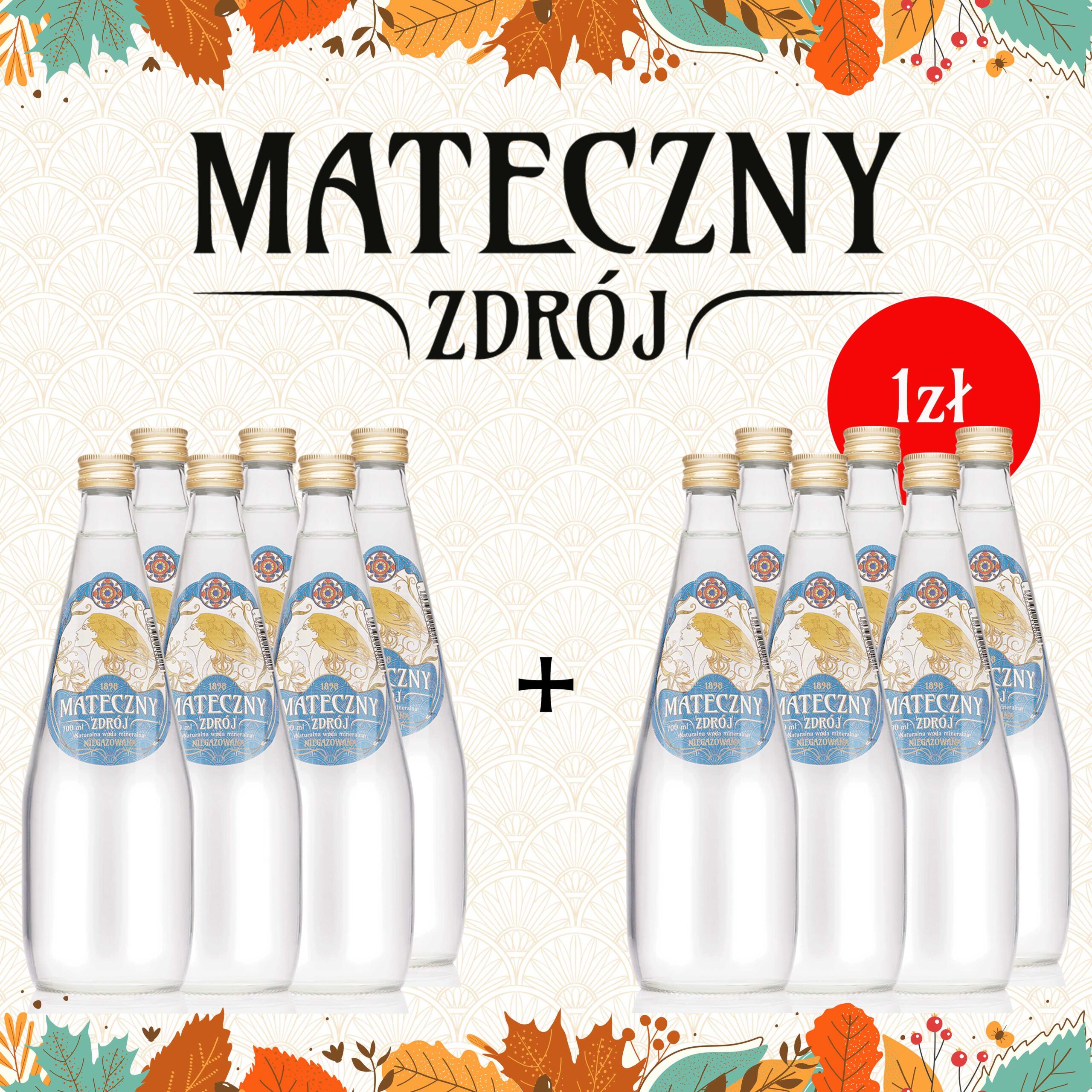 Mateczny Zdrój niegazowany 700 ml PROMOCJA 1+1!
