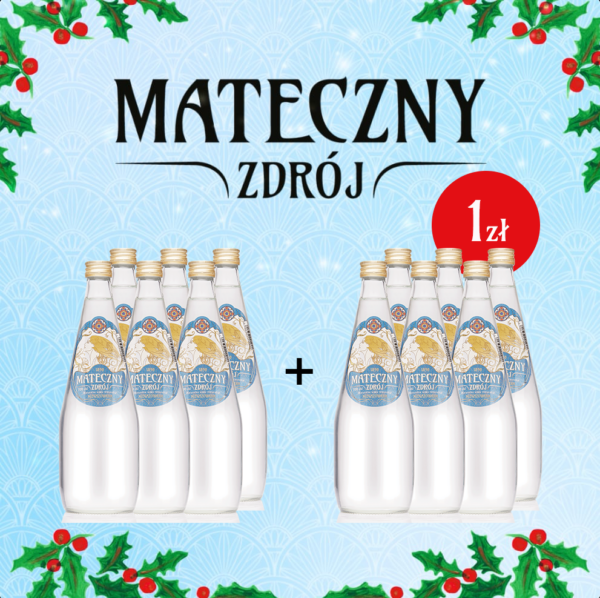 Mateczny Zdrój niegazowany 700ml PROMOCJA 1+1!
