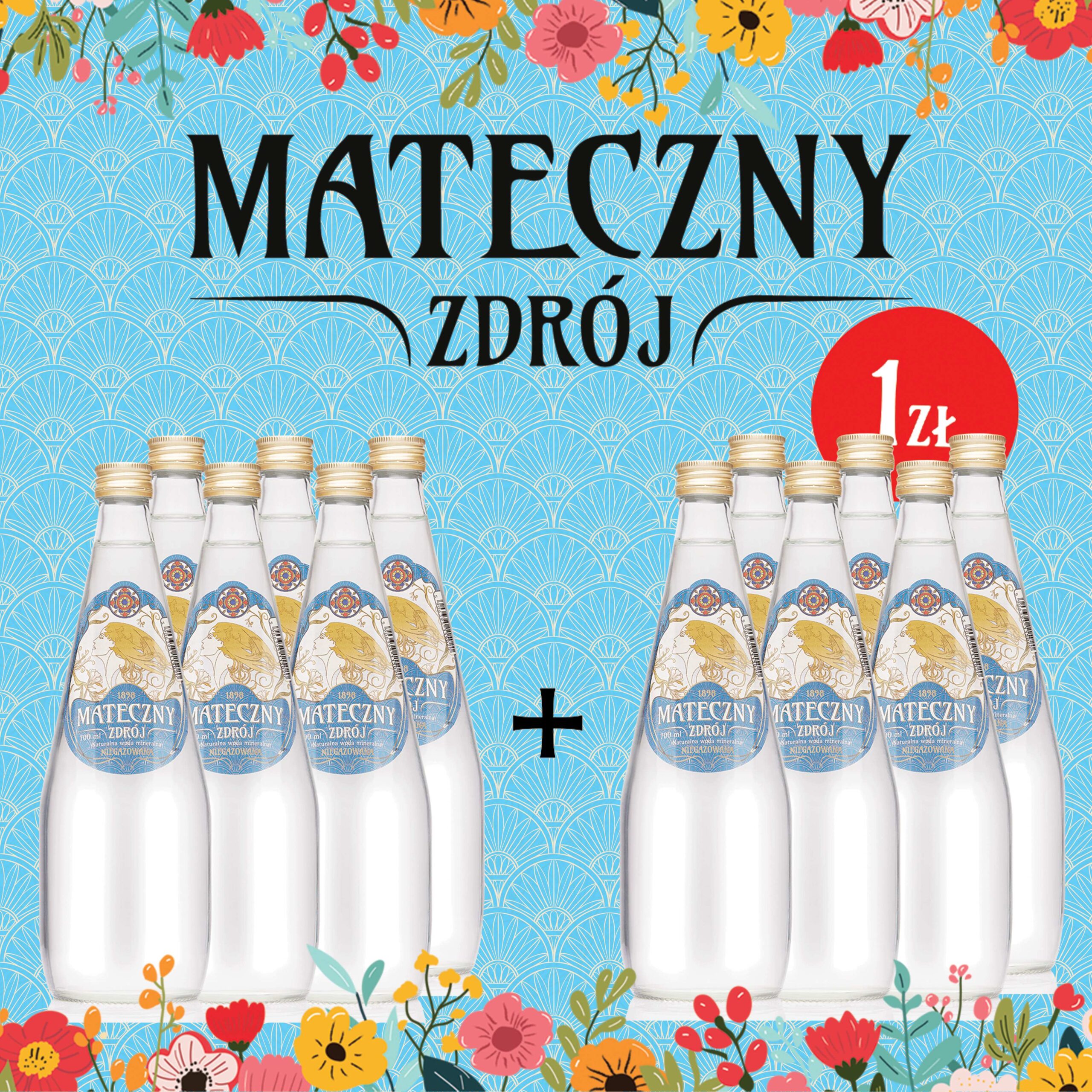 Mateczny Zdrój niegazowany 700 ml PROMOCJA 1+1!
