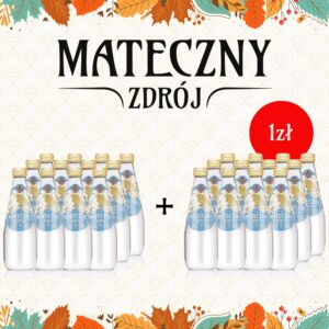 Mateczny Zdrój 330 ml lekko gazowany PROMOCJA 1+1!
