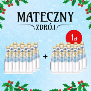 Mateczny Zdrój 330 ml lekko gazowany PROMOCJA 1+1!