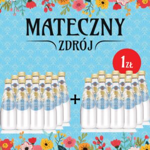 Mateczny Zdrój 330 ml lekko gazowany PROMOCJA 1+1!