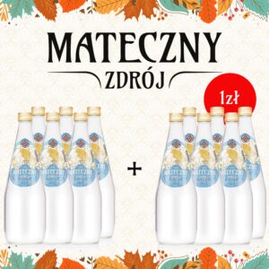 Mateczny Zdrój 700 ml lekko gazowany PROMOCJA 1+1!
