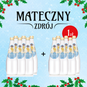 Mateczny Zdrój 700 ml lekko gazowany PROMOCJA 1+1!