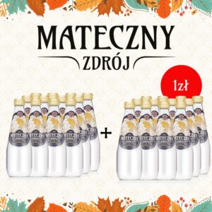 Mateczny Zdrój gazowany 330ml PROMOCJA 1+1!