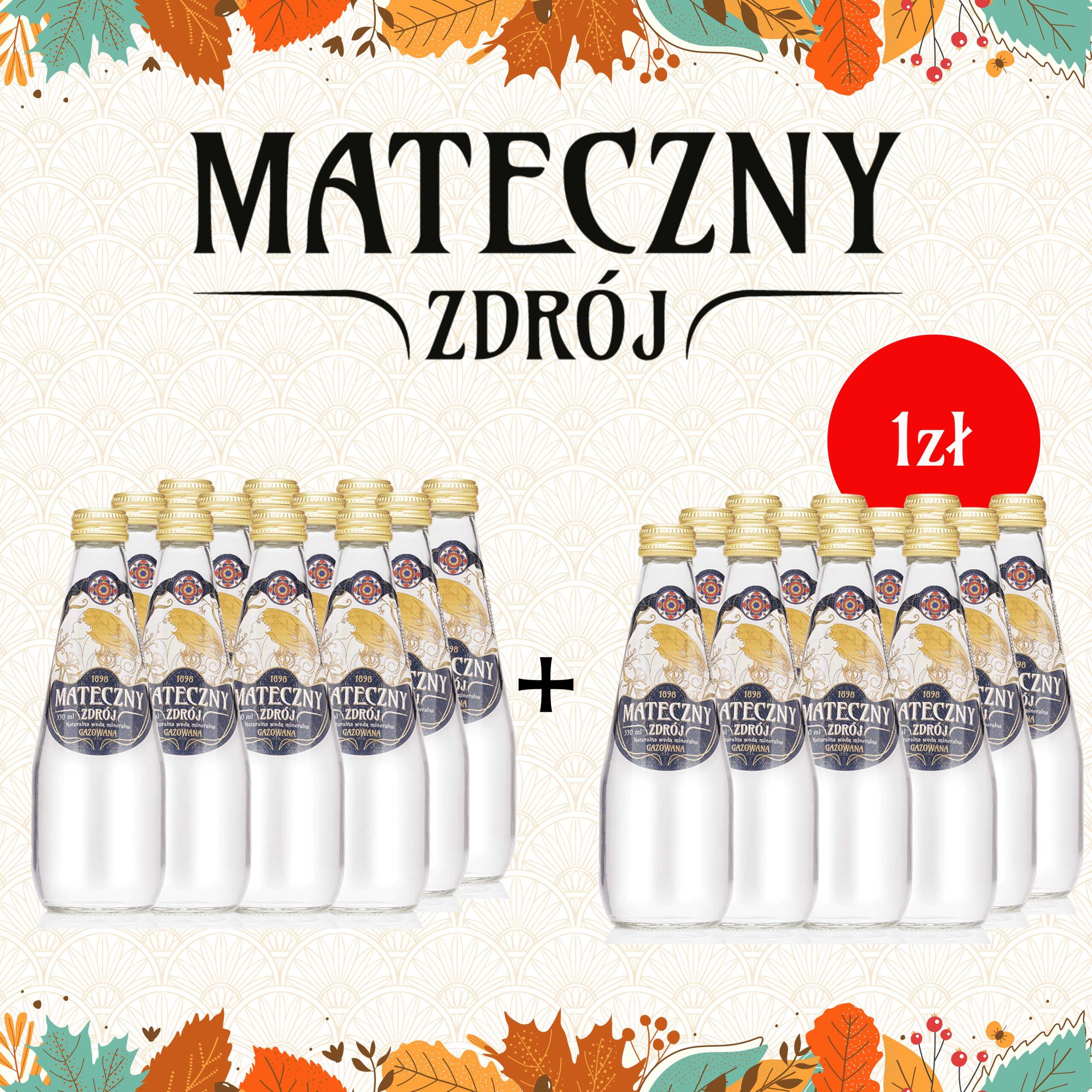 Mateczny Zdrój gazowany 330ml PROMOCJA 1+1!