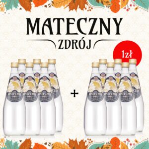 Mateczny Zdrój gazowany 700ml PROMOCJA 1+1!