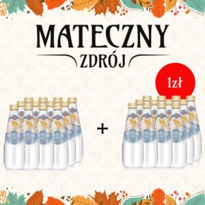 Mateczny Zdrój niegazowany 330ml PROMOCJA 1+1!