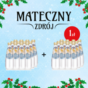 Mateczny Zdrój niegazowany 330ml PROMOCJA 1+1!
