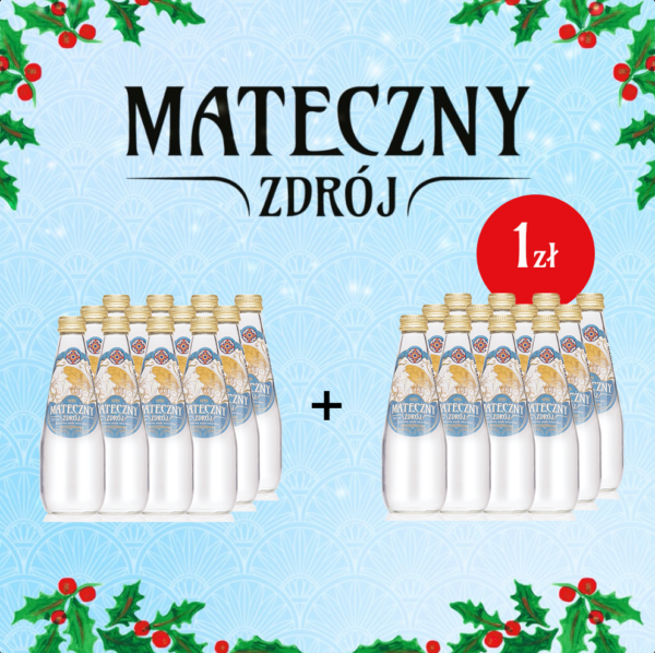 Mateczny Zdrój niegazowany 330ml PROMOCJA 1+1!