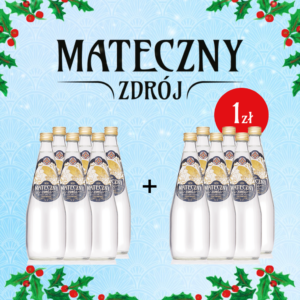 Mateczny Zdrój gazowany 700ml PROMOCJA 1+1!
