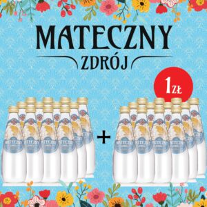 Mateczny Zdrój niegazowany 330ml PROMOCJA 1+1!