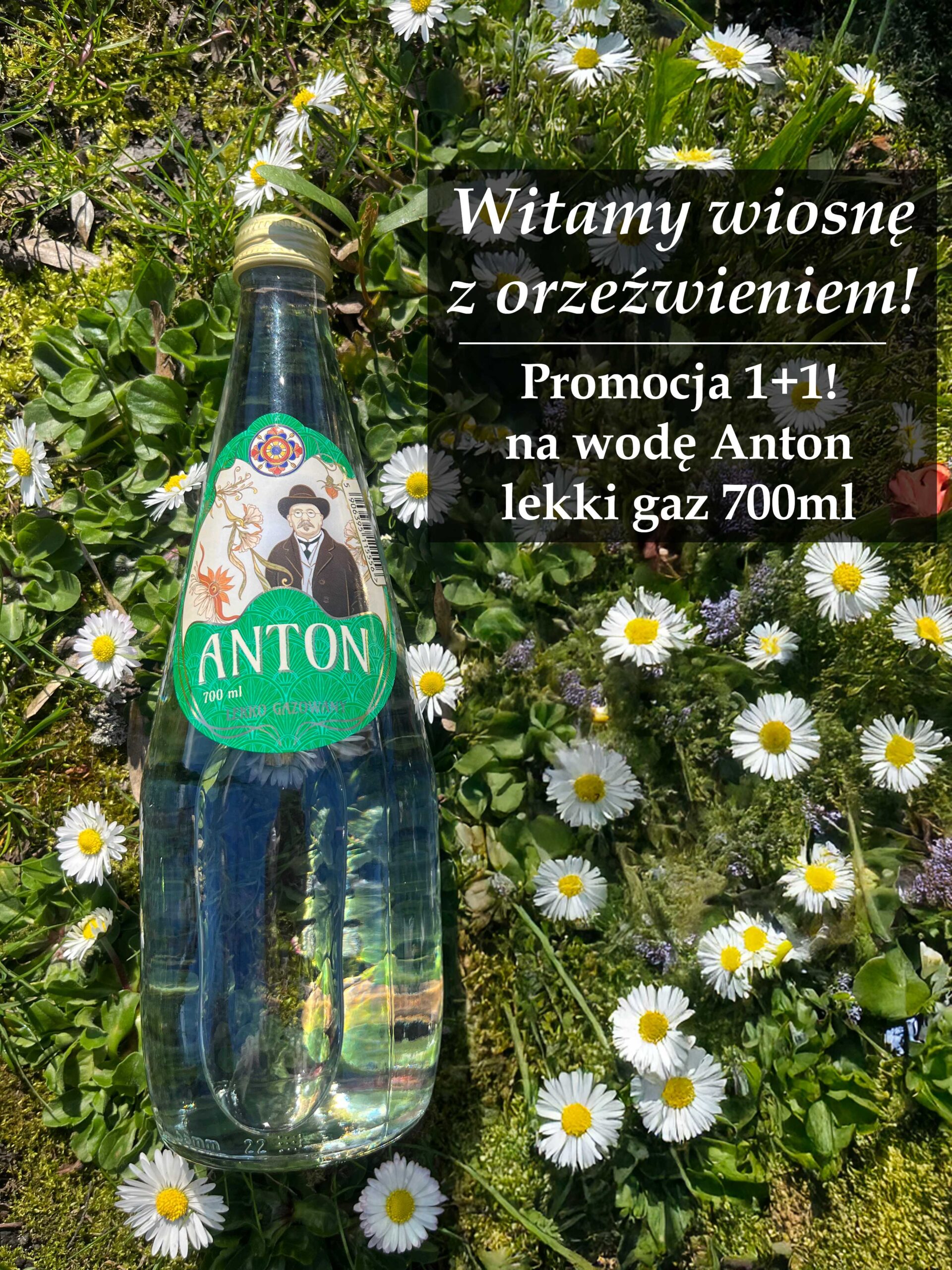 wiosna4